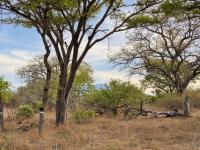  of property in Hoedspruit