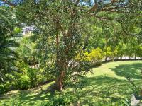  of property in Southport