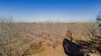  of property in Randfontein