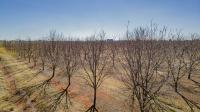  of property in Randfontein