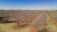  of property in Randfontein