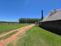  of property in Heidelberg - GP