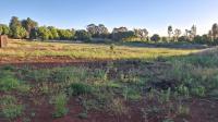  of property in Springs