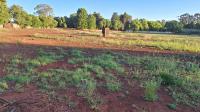  of property in Springs