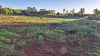  of property in Springs