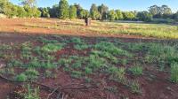  of property in Springs