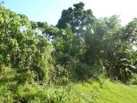 Land for Sale for sale in Trafalgar