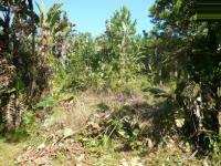 Land for Sale for sale in Southbroom